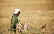 Meerkat Whisperer